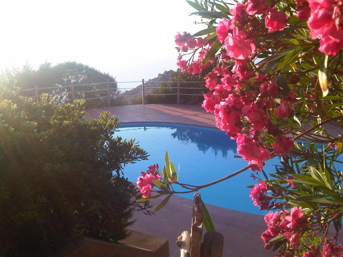 Domus De Janas Villa Costa Paradiso Buitenkant foto